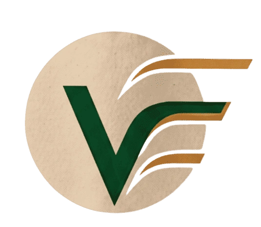 Vaibhav Enterprise logo